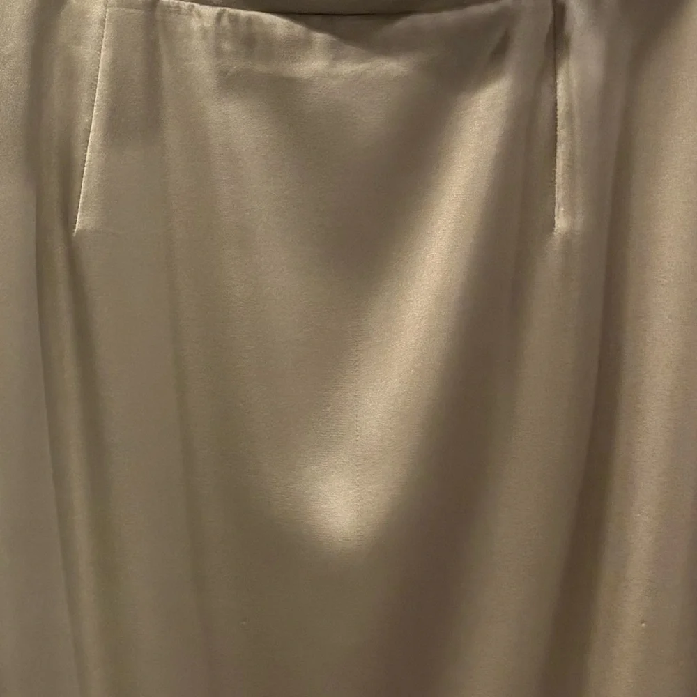 Champagne Strapless Dress - Picture 5 of 5